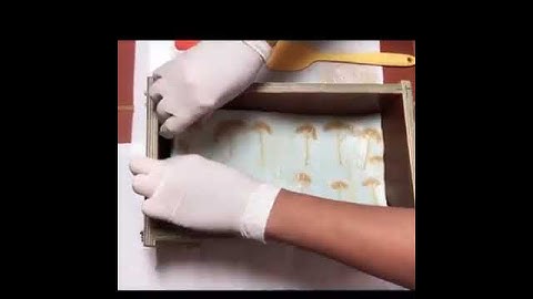 A little sneak peek from our soapmaking process/