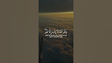 من سورة القصص - ماهر المعيقلي