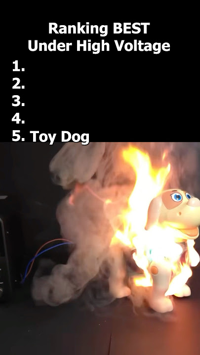 Ranking Best Toys Under High Voltage