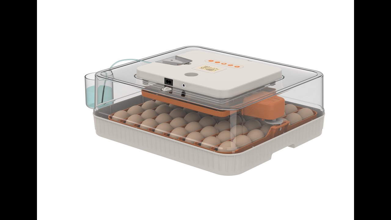 56H Egg Incubator - Hatching Test