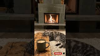 ASMR fireplace with smooth jazz #asmrfireplace #smoothjazz #shorts
