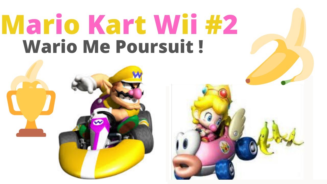 wii mario kart 2