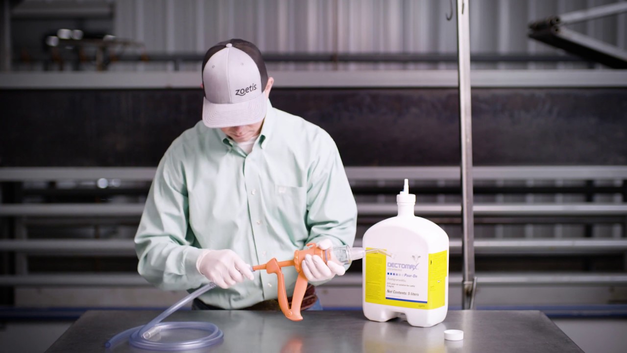 How to Administer DECTOMAX® Pour-On (2.5 & 5 Liter)