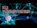 谈谈维生素b12的重要性