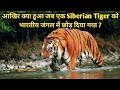 भारतीय जंगल में रहने वाली एक Siberian Tiger की दर्दनाक कहानी। Billy Arjan Singh And Tigress Tara