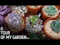 #32 December garden tour