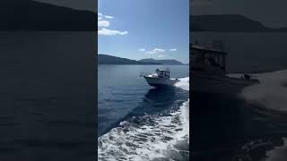 2001 Grady White Marlin 300