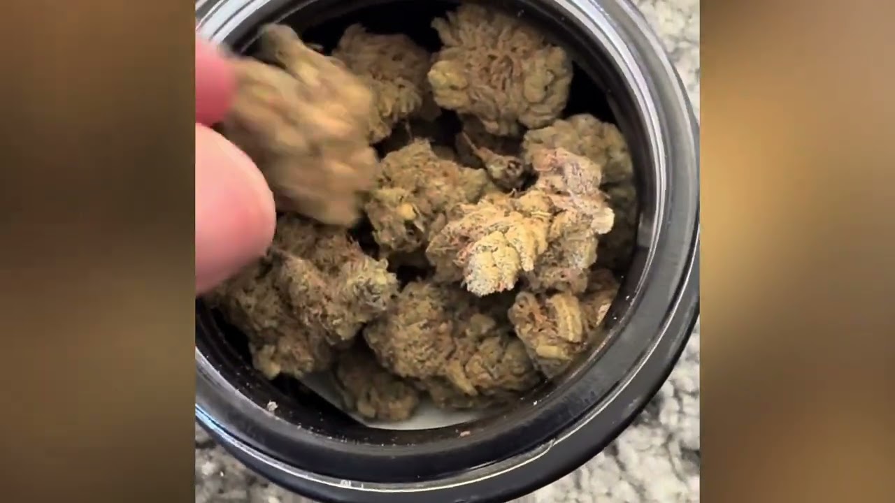 ￼ Platinum Grapes Strain Review 🍇🔥 | Craft Cannabis 23–27% THC OGKB x Platinum KUSH