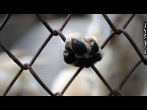Video: FBI tok bare nye tiltak for å begynne å spore dyrmisbrukere i 2016