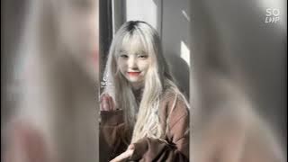 [Tiktok Ep.8] The magic bomb remix Compilation .