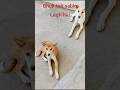 Bhuk toh sabko lagti hai#animal lovers#trends#youtubeshorts #explore with Tripathy's