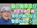 【庭の雑草取り】来年が楽になる除草の仕方と押さえたいポイント🌱☝