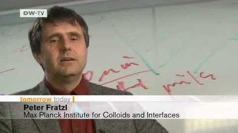 Tomorrow Today | Bionics