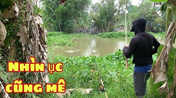 Câu Cá Tra Sông Gặp Cá Ục Kiểu Này Nhìn Cũng Mê | Fishing - Miền Tây