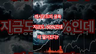 캐시 우드 ARKK 또 하락… -50% 폭락 후 반등 가능할까? 지금이 기회일까 위기일까#캐시우드 #투자 #미국주식