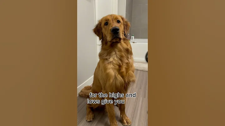 I blinked and this happened 🥹 #doglover #puppylife #trending #shorts #doglife #dogmom #cutedog