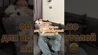 Щётка от шерсти животных WB 335709659 #обзоры #щетка #wb  #питомец #alexshow