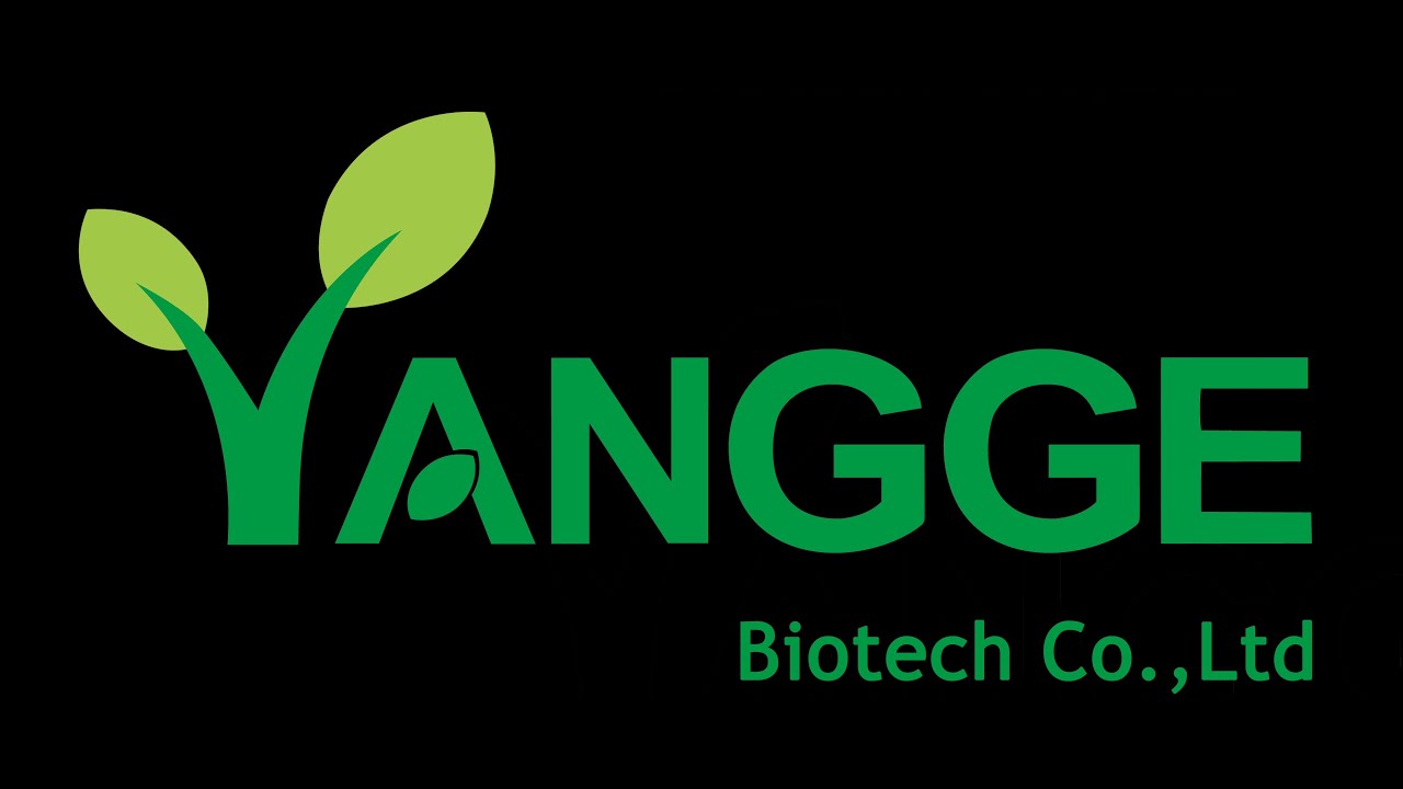 What blueberry extract good for？