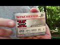 Testing Buckshot for Youth Hunters! 20 Gauge...