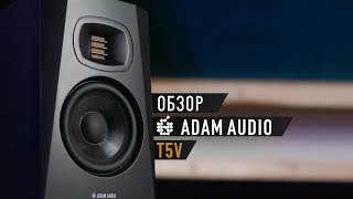 Обзор ADAM Audio T5V