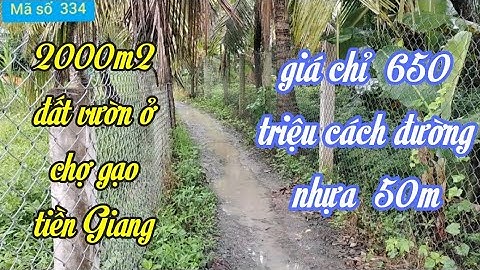 Bán đất vườn giá rẻ chỉ  650 triệu  1000m2 ở bình phan chợ gạo tiền Giang@ms334