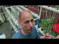 How to Drain Your Irrigation System &amp; Water Plants Properly | Joe's Garden TV
