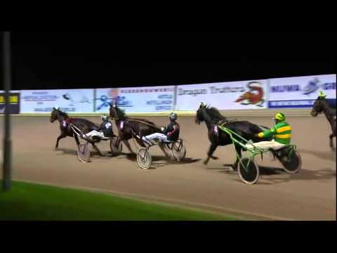 Vidéo de la course PMU PRIX MERWESTAAL MOERDIJK