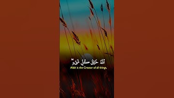 تلاوة خاشعه اسمع بقلبك 🍂🎧#قران_كريم #قرآن #quran #اكسبلور #راحة_نفسية #المصحف #لايك #trending