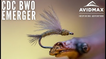 How to tie the CDC BWO Emerger | AvidMax Fly Tying Tuesday Tutorials