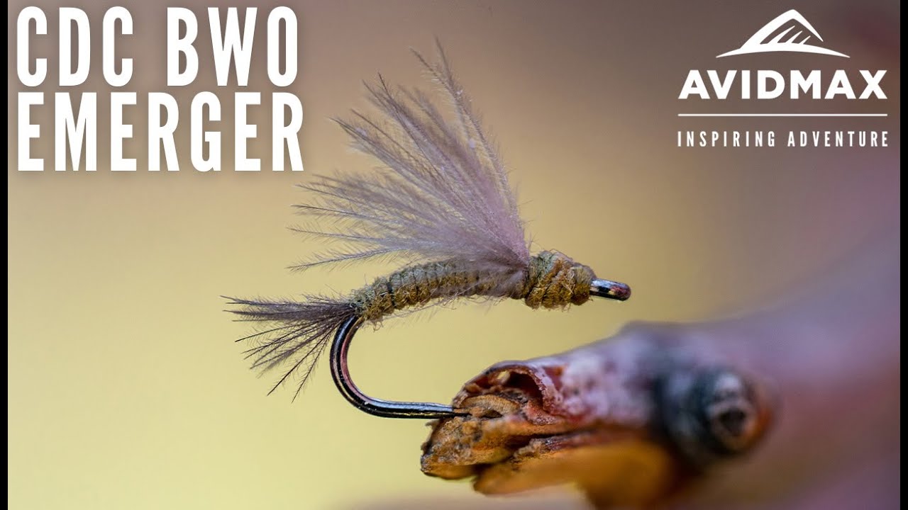 Как завязать мушку CDC BWO Emerger | Учебные пособия AvidMax по вязанию мушек во вторник