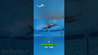 Mastering the 6-Beat Kick for Swimming Power #shorts