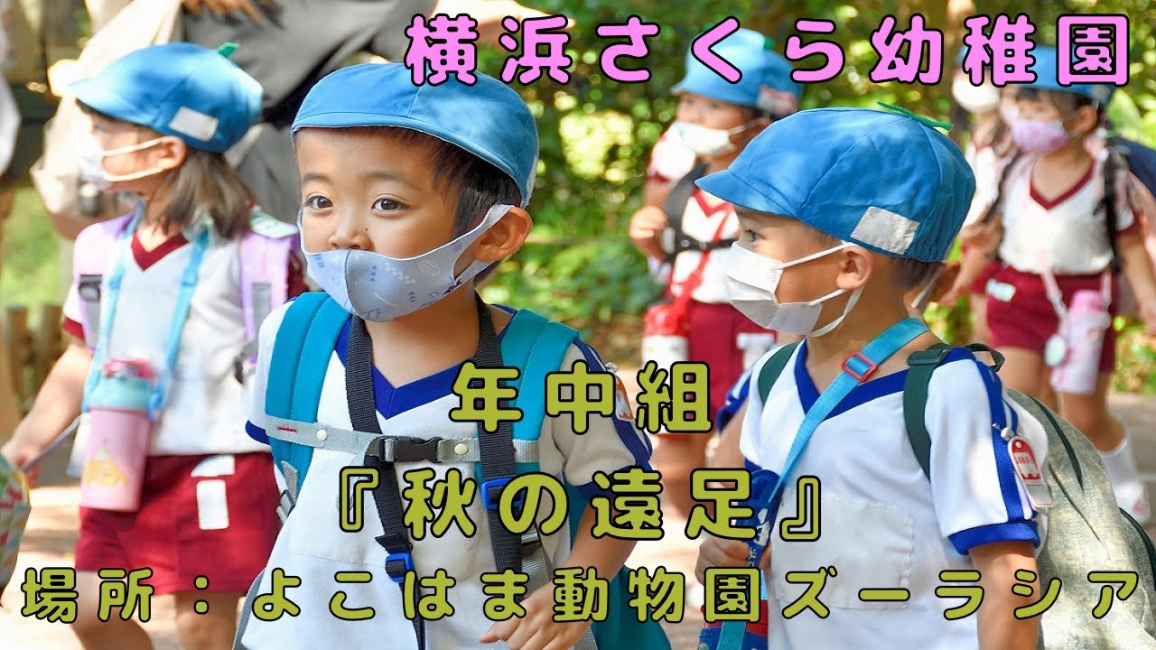 秋の遠足】年中組2021 - YouTube