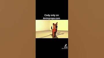 Cody dog rig only on Animprops.com. #3d #mayarig #3danimation #dog #3drigging #acting #3dmodeling