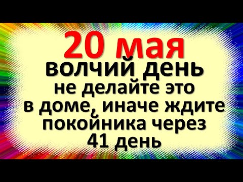 Видео: Этот день в истории: 20 мая - чудесная жизнь