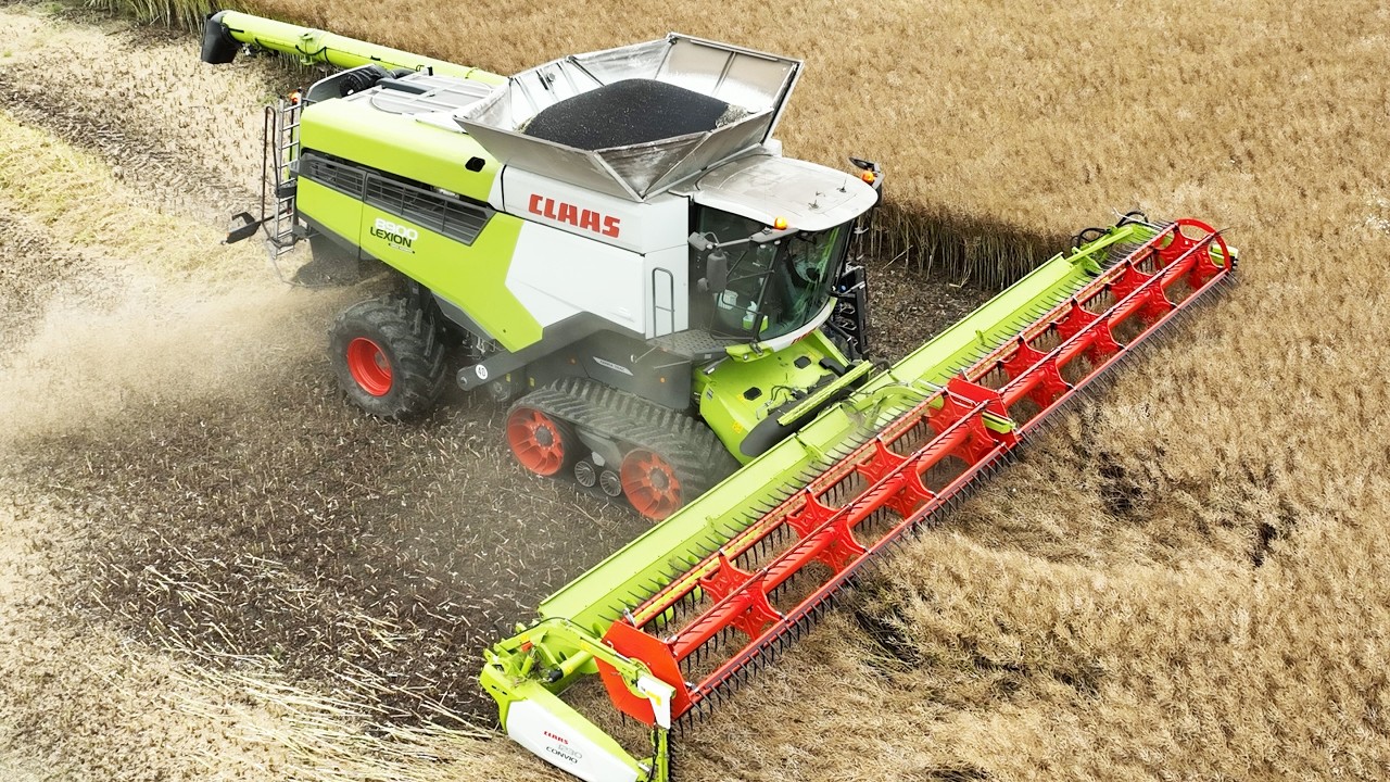 Claas Lexion 8900 Combine Harvesting Canola | Big Harvest
