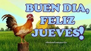 BUENOS DIAS FELIZ JUEVES