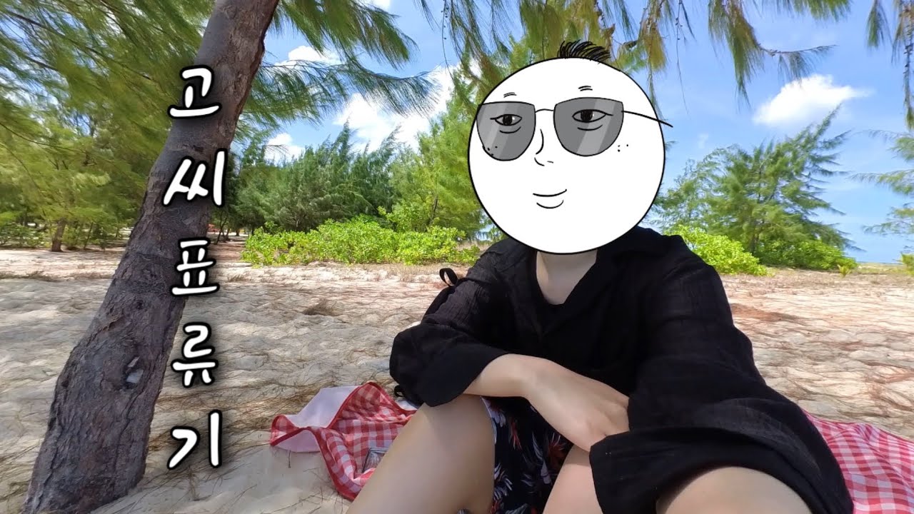 사람도 고양이도 모두가 chill한 세상