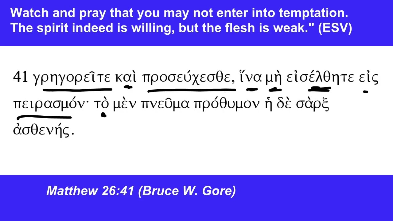 Matthew 26:41 (Greek)