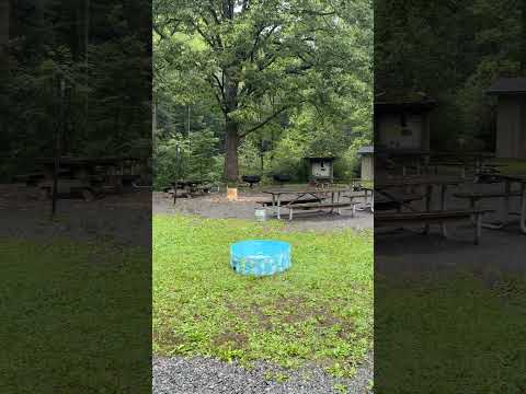 Video thumbnail showing the field at Cove Creek Upper Group Camp