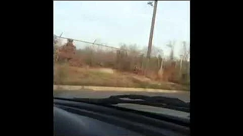 Mustang Gt vs. Acura Integra b20