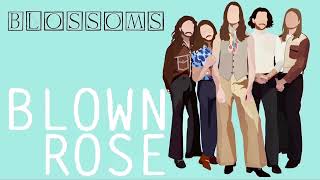 Blossoms - Blown Rose