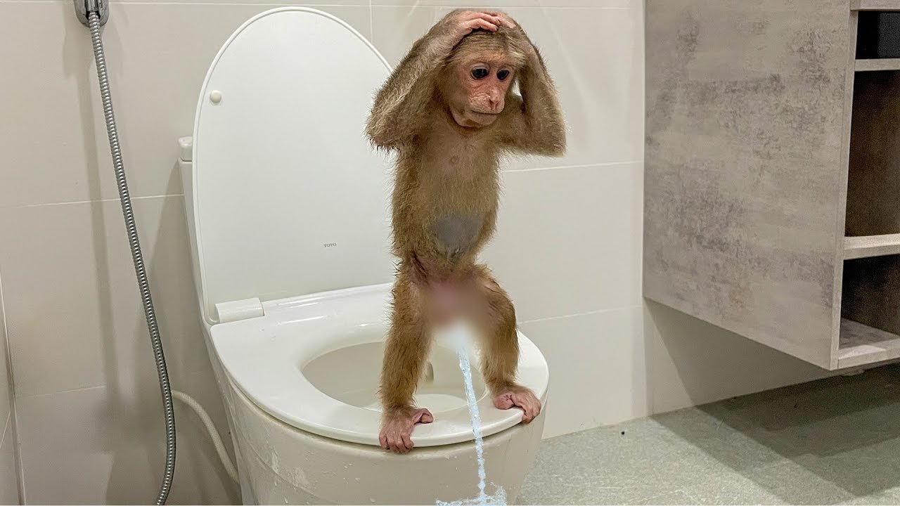 Hilarious! Cubis Stomach Ache Middle of the Night!