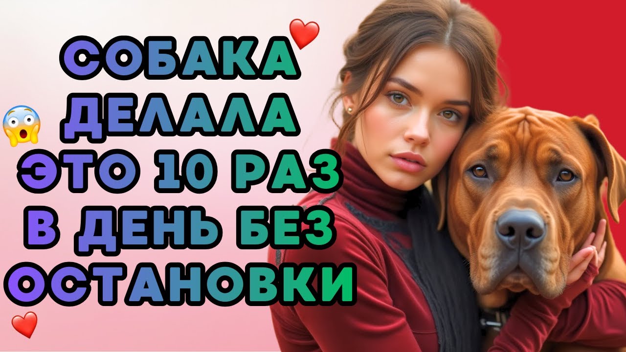 Собака лучше мужа...