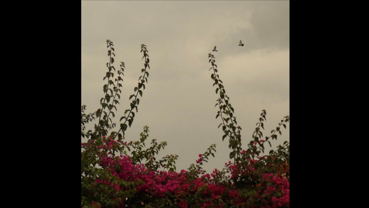 eraserheads minsan (lyrics with english translation) YouTube