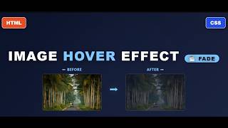 CSS Image Hover Effect | Fade Effect Tutorial for Beginners
