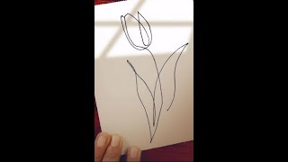 One Line Art Tulip Flower || How to Draw Line Drawing || Line Drawing #shorts #drawing #lineart