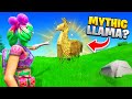 15 Fortnite MYTHS All Players Believe