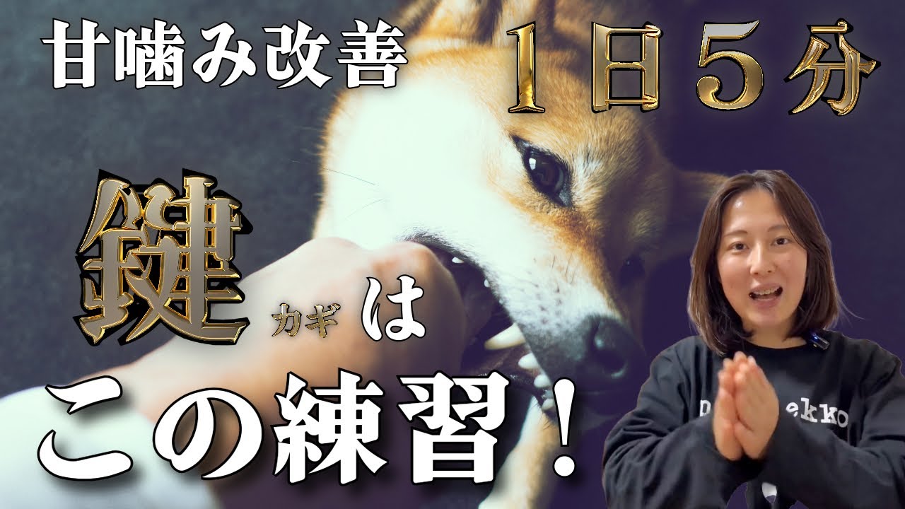 【この練習が鍵】甘噛み改善の第一歩！1日5分の簡単トレーニング