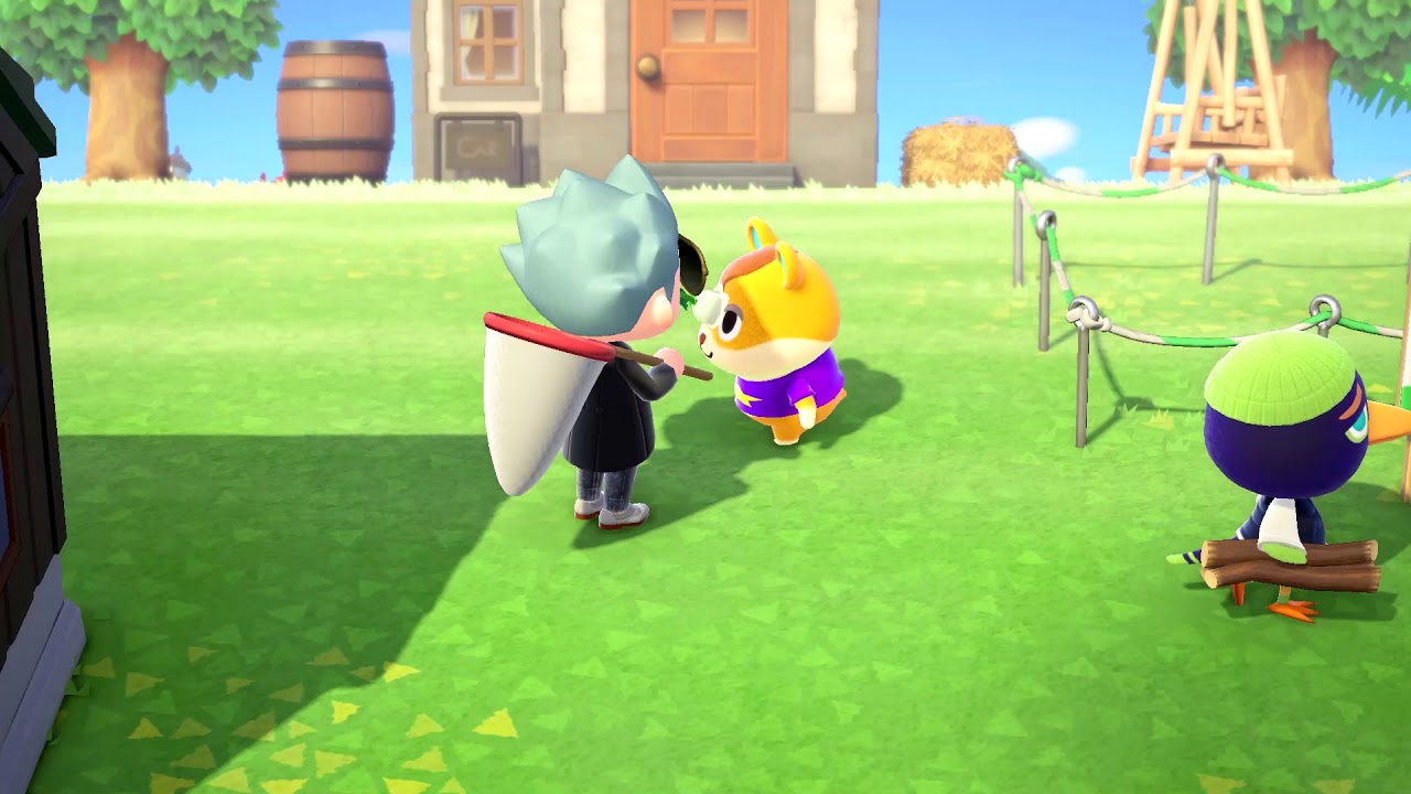 How to catch a flea in Animal Crossing: New Horizons!