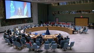 Statement by Chargé d&#39;Affaires Dmitry Polyanskiy at UNSC briefing on the situation in Iraq